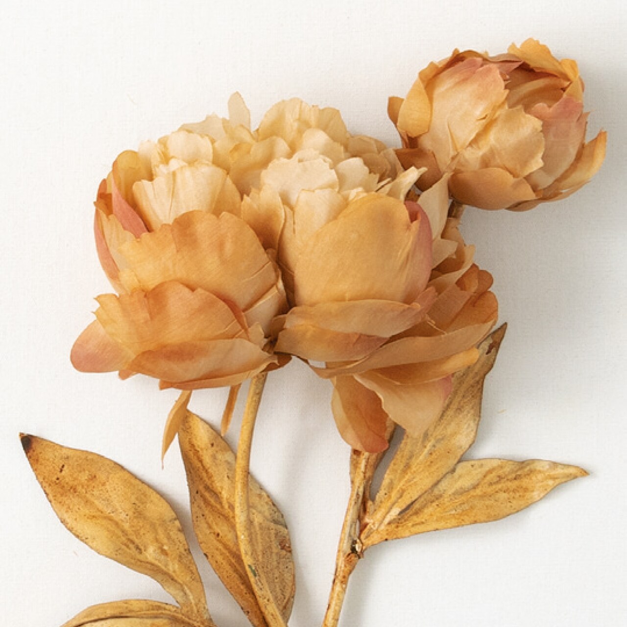 Sullivan's Peony Spray, Brown Faux Floral Stem for Crafting, Weddings, Home and Holiday Decoration, 22 Inch
